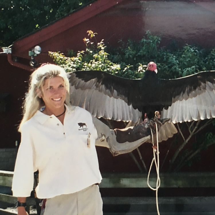 TurkeyVulture-Georgette-Laura - Laura Monaco Torelli